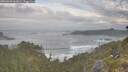 ./images/calvert/foggy-cove/20260528/foggy-cove20260528_062001M.jpg