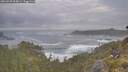 ./images/calvert/foggy-cove/20260528/foggy-cove20260528_064501M.jpg