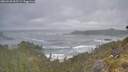 ./images/calvert/foggy-cove/20260528/foggy-cove20260528_065502M.jpg