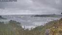 ./images/calvert/foggy-cove/20260528/foggy-cove20260528_073002M.jpg