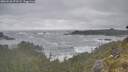 ./images/calvert/foggy-cove/20260528/foggy-cove20260528_073501M.jpg