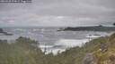 ./images/calvert/foggy-cove/20260528/foggy-cove20260528_074001M.jpg