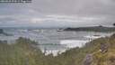 ./images/calvert/foggy-cove/20260528/foggy-cove20260528_074501M.jpg