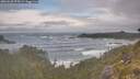 ./images/calvert/foggy-cove/20260528/foggy-cove20260528_075501M.jpg