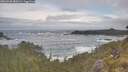 ./images/calvert/foggy-cove/20260528/foggy-cove20260528_080501M.jpg
