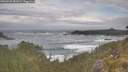 ./images/calvert/foggy-cove/20260528/foggy-cove20260528_081001M.jpg