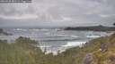 ./images/calvert/foggy-cove/20260528/foggy-cove20260528_081501M.jpg