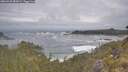 ./images/calvert/foggy-cove/20260528/foggy-cove20260528_082001M.jpg