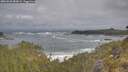 ./images/calvert/foggy-cove/20260528/foggy-cove20260528_083001M.jpg