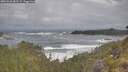 ./images/calvert/foggy-cove/20260528/foggy-cove20260528_083502M.jpg