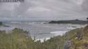 ./images/calvert/foggy-cove/20260528/foggy-cove20260528_084002M.jpg