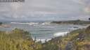 ./images/calvert/foggy-cove/20260528/foggy-cove20260528_084501M.jpg