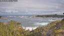 ./images/calvert/foggy-cove/20260528/foggy-cove20260528_085001M.jpg
