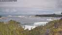 ./images/calvert/foggy-cove/20260528/foggy-cove20260528_085501M.jpg