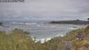 ./images/calvert/foggy-cove/20260528/foggy-cove20260528_090001M.jpg