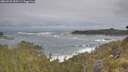 ./images/calvert/foggy-cove/20260528/foggy-cove20260528_090501M.jpg