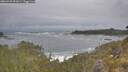 ./images/calvert/foggy-cove/20260528/foggy-cove20260528_091001M.jpg