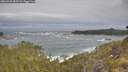 ./images/calvert/foggy-cove/20260528/foggy-cove20260528_092501M.jpg
