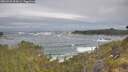 ./images/calvert/foggy-cove/20260528/foggy-cove20260528_093002M.jpg