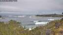 ./images/calvert/foggy-cove/20260528/foggy-cove20260528_094501M.jpg