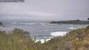 ./images/calvert/foggy-cove/20260528/foggy-cove20260528_095502M.jpg