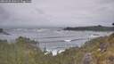 ./images/calvert/foggy-cove/20260528/foggy-cove20260528_100501M.jpg