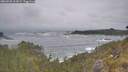 ./images/calvert/foggy-cove/20260528/foggy-cove20260528_101002M.jpg