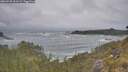./images/calvert/foggy-cove/20260528/foggy-cove20260528_101501M.jpg