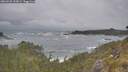 ./images/calvert/foggy-cove/20260528/foggy-cove20260528_102001M.jpg