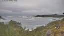 ./images/calvert/foggy-cove/20260528/foggy-cove20260528_103001M.jpg