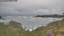 ./images/calvert/foggy-cove/20260528/foggy-cove20260528_103501M.jpg