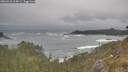 ./images/calvert/foggy-cove/20260528/foggy-cove20260528_104001M.jpg
