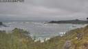 ./images/calvert/foggy-cove/20260528/foggy-cove20260528_104501M.jpg