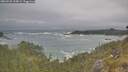 ./images/calvert/foggy-cove/20260528/foggy-cove20260528_105001M.jpg