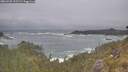 ./images/calvert/foggy-cove/20260528/foggy-cove20260528_105502M.jpg