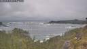 ./images/calvert/foggy-cove/20260528/foggy-cove20260528_110001M.jpg