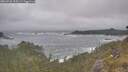 ./images/calvert/foggy-cove/20260528/foggy-cove20260528_110501M.jpg