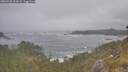 ./images/calvert/foggy-cove/20260528/foggy-cove20260528_111002M.jpg