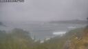./images/calvert/foggy-cove/20260528/foggy-cove20260528_112001M.jpg
