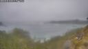 ./images/calvert/foggy-cove/20260528/foggy-cove20260528_112501M.jpg