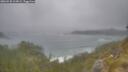./images/calvert/foggy-cove/20260528/foggy-cove20260528_113002M.jpg