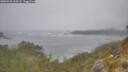 ./images/calvert/foggy-cove/20260528/foggy-cove20260528_114502M.jpg