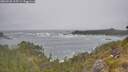./images/calvert/foggy-cove/20260528/foggy-cove20260528_115501M.jpg