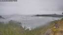 ./images/calvert/foggy-cove/20260528/foggy-cove20260528_121501M.jpg