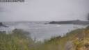 ./images/calvert/foggy-cove/20260528/foggy-cove20260528_122001M.jpg