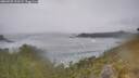 ./images/calvert/foggy-cove/20260528/foggy-cove20260528_122502M.jpg