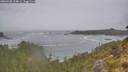 ./images/calvert/foggy-cove/20260528/foggy-cove20260528_124001M.jpg