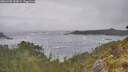 ./images/calvert/foggy-cove/20260528/foggy-cove20260528_125001M.jpg