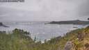 ./images/calvert/foggy-cove/20260528/foggy-cove20260528_125501M.jpg
