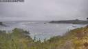 ./images/calvert/foggy-cove/20260528/foggy-cove20260528_130001M.jpg